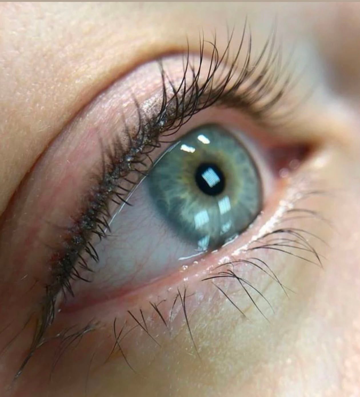 Shaded Lash Line